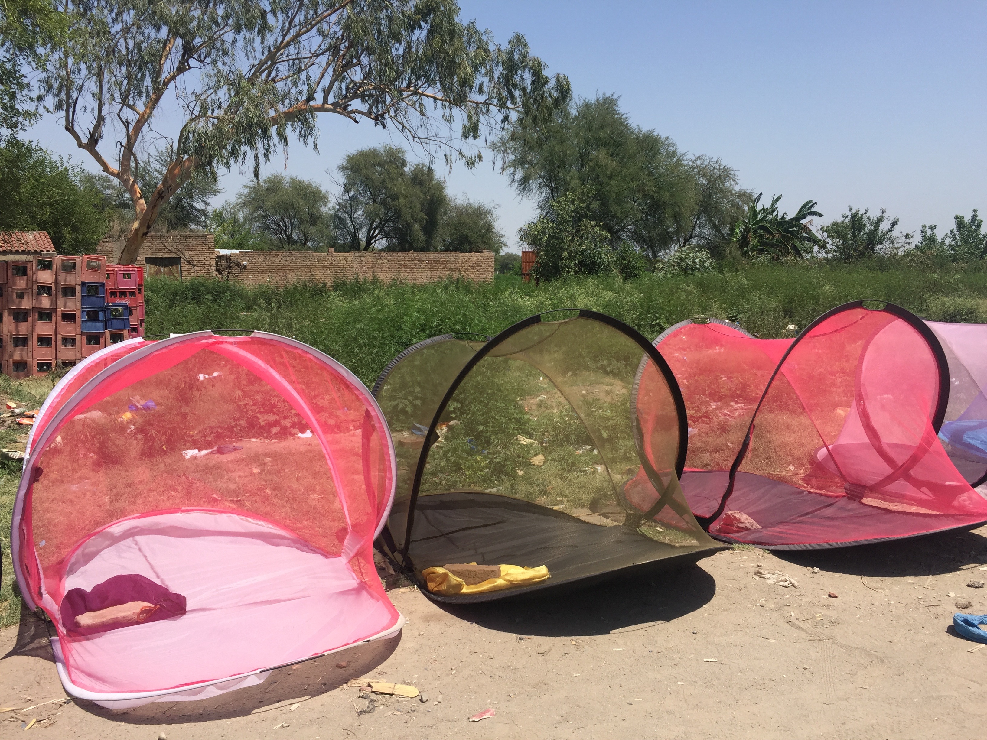 File:Mosquito nets Pakistan.jpg