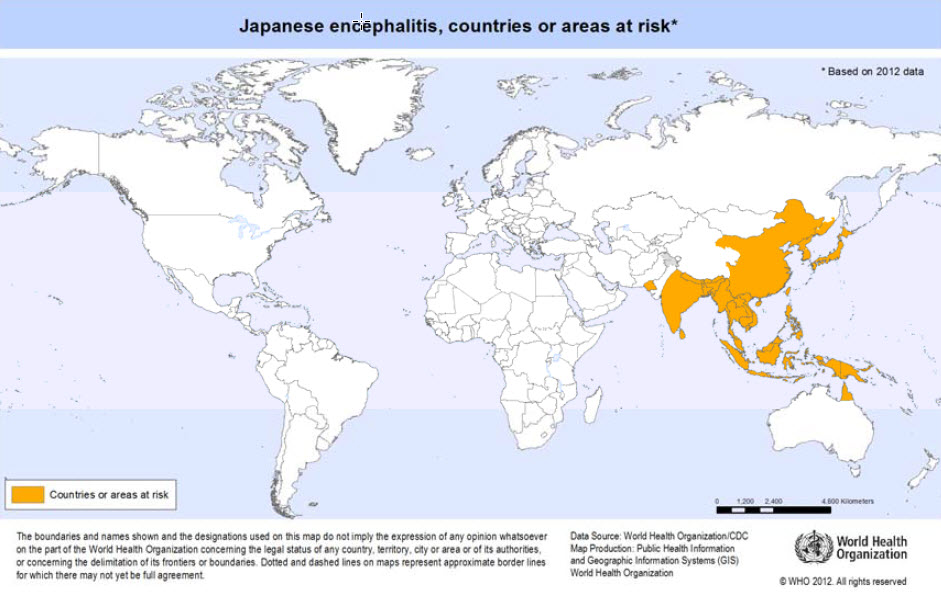 File:Japanese encephalitis.jpg