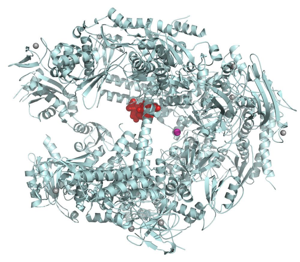 File:1QKL Essential Subunit Of Human Rna Polymerases I IiAnd Iii 01.png