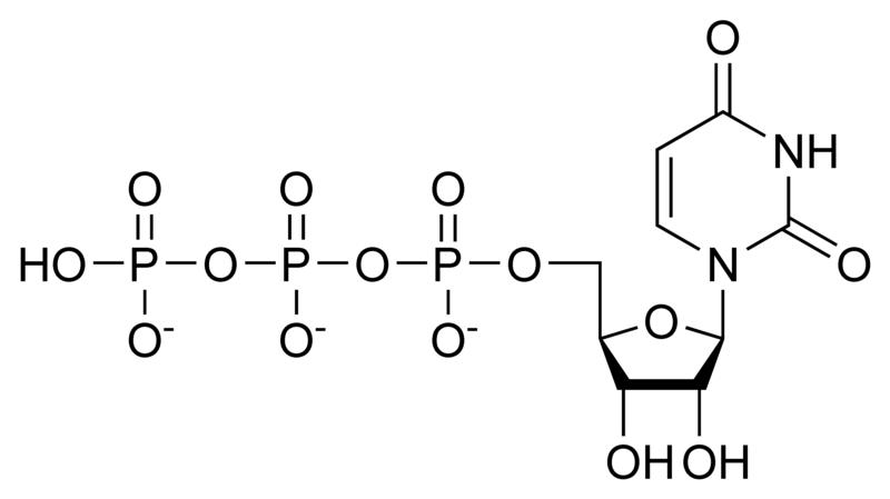 Chemical structure of uridine triphosphate