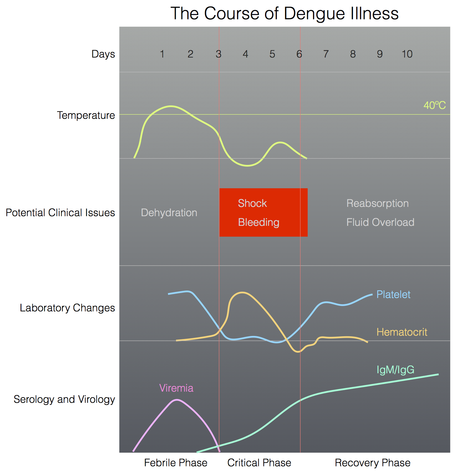 File:The course of dengue illness.png