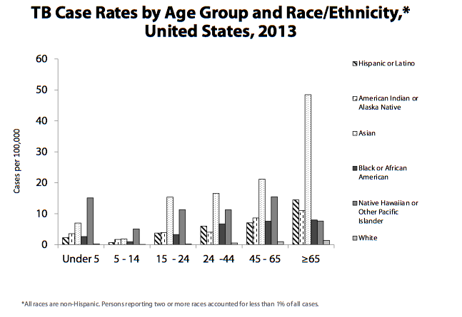 File:Ethnicity, United States, 2013.png
