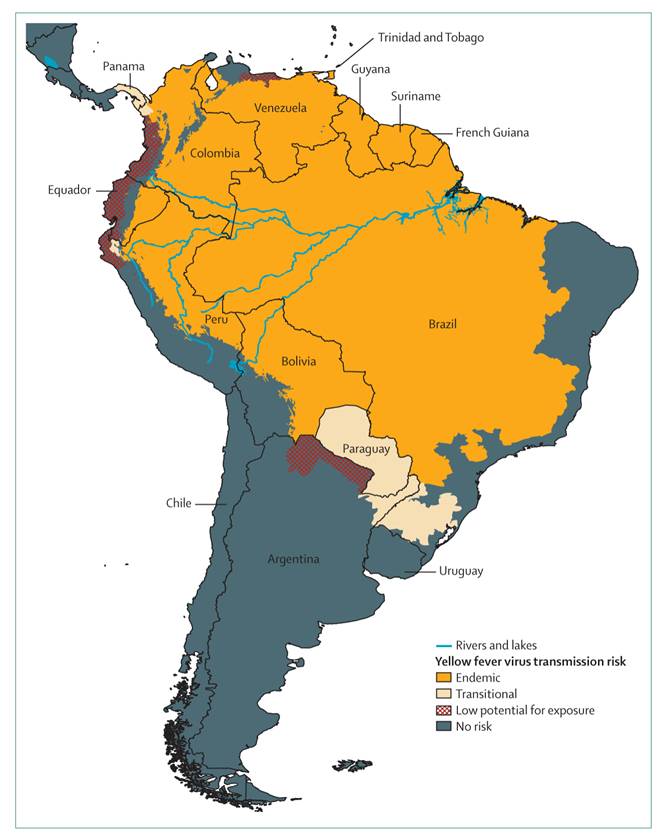 File:Areas with Risk of Yellow Fever Virus Transmission in South America.jpg