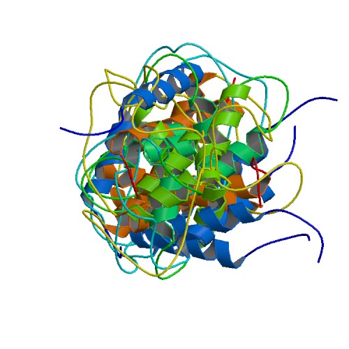 File:PBB Protein IL13 image.jpg