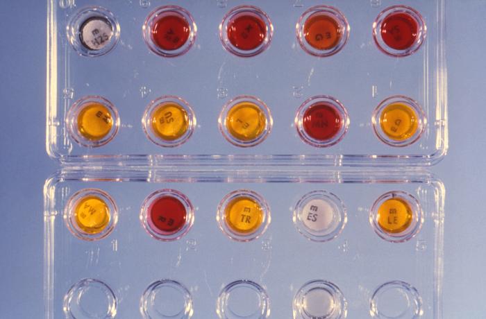 Image depicts a Minitek® (BD Biosciences) anaerobe identification kit, used to identify specific bacterial species based on their microchemical behavior. All the wells except for the four empty wells in row four had been inoculated with Gram-positive Clostridium perfringens bacteria. From Public Health Image Library (PHIL). [1]