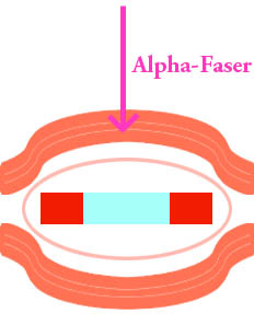Alpha fiber