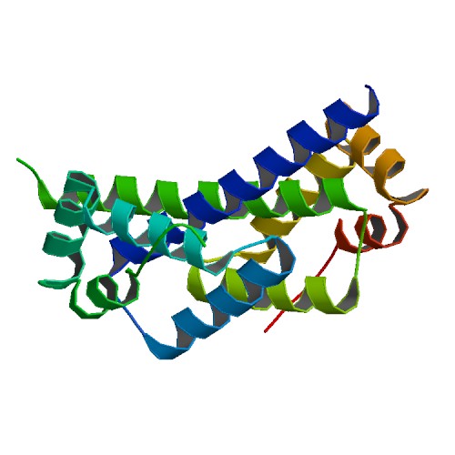 File:PBB Protein C11orf30 image.jpg