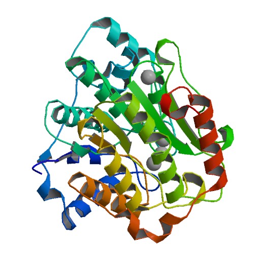 File:PBB Protein HDAC7A image.jpg