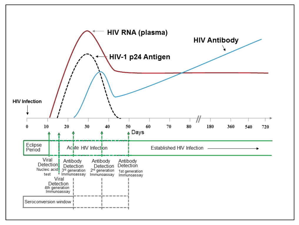 File:Sequence of appearance of laboratory markers for HIV-1 infection.jpg