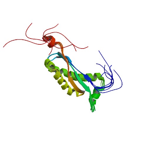 PBB_Protein_FLOT2_image.jpg