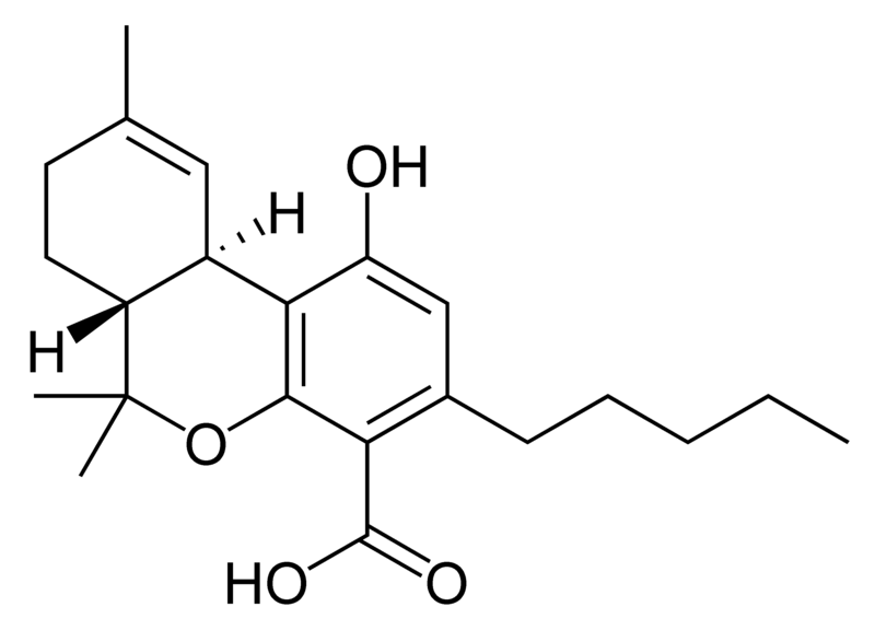 Chemical structure of delta-9-tetrahydrocannabinolic acid B.