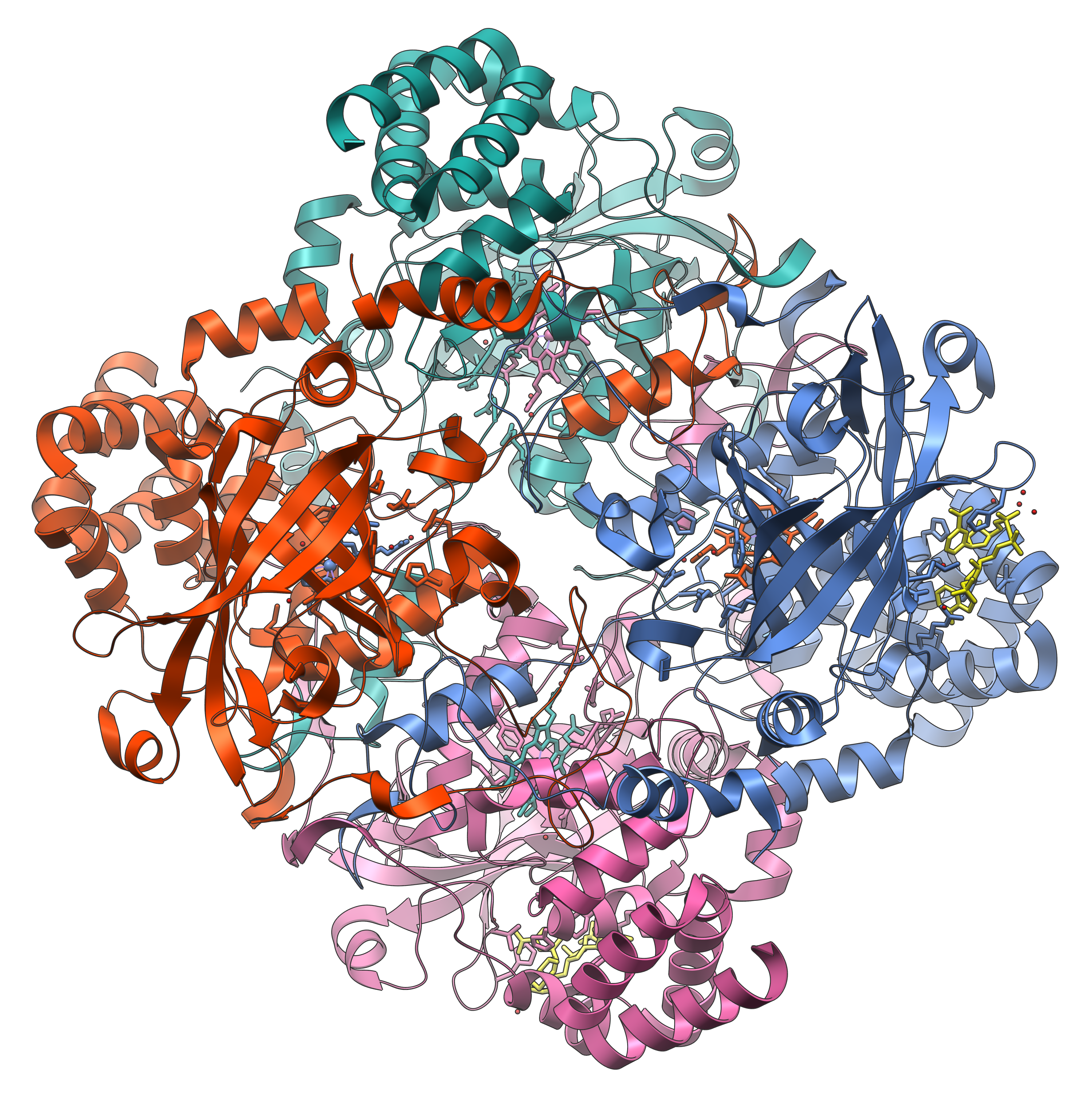 File:Catalase Structure.png