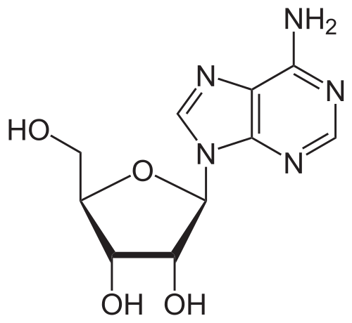 Chemical structure of Adenosine