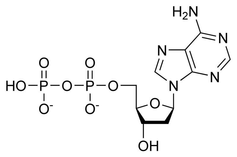Chemical structure of deoxyadenosine diphosphate