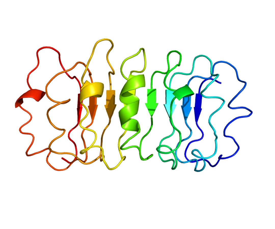 File:Protein TSHR PDB 1XUM.png