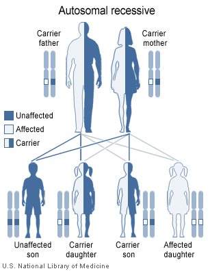 Types II and IV Waardenburg syndrome may sometimes have an autosomal recessive pattern of inheritance.