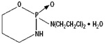 File:Cyclophosphamide structure.jpg