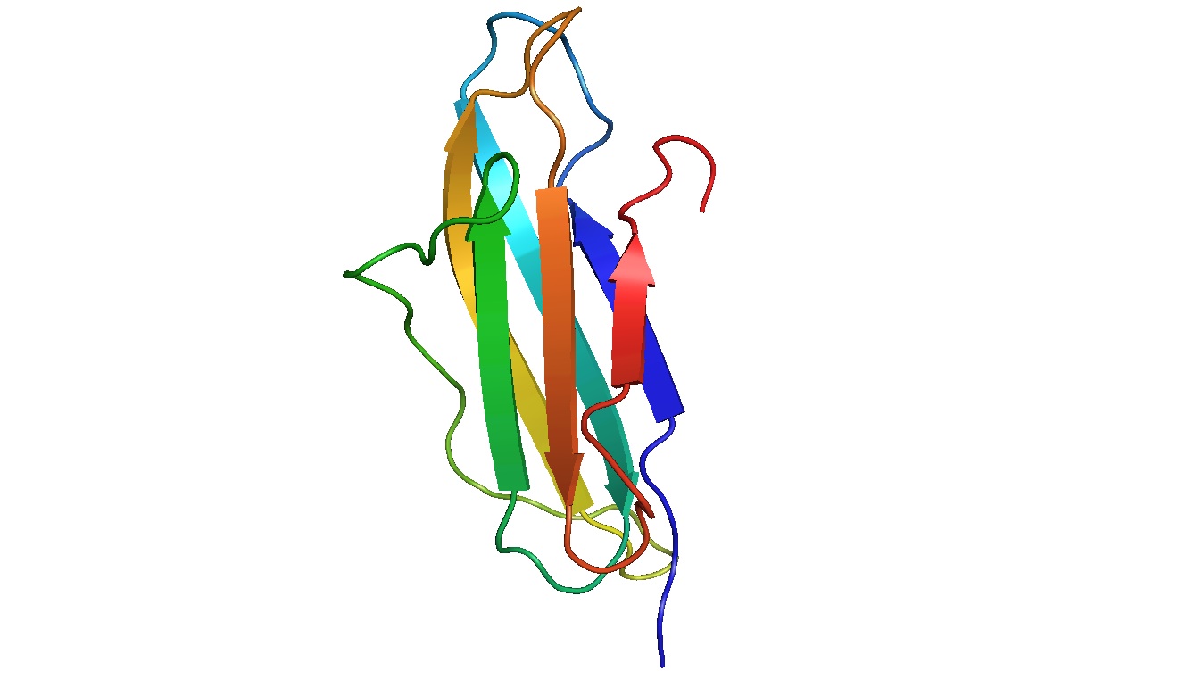 File:PBB Protein B2M image.jpg