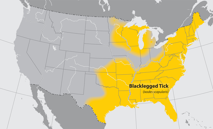 Approximate distribution of the Blacklegged tick Adapted from CDC