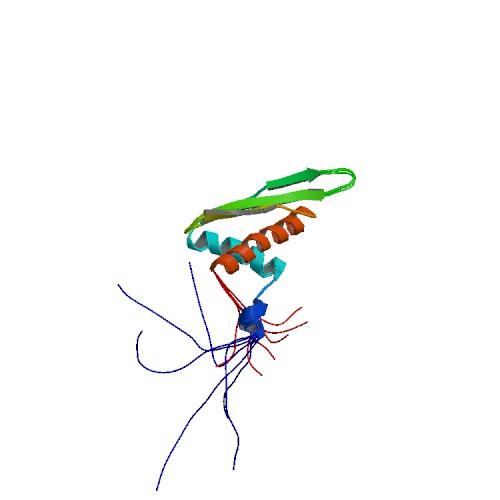 File:PBB Protein DHX9 image.jpg