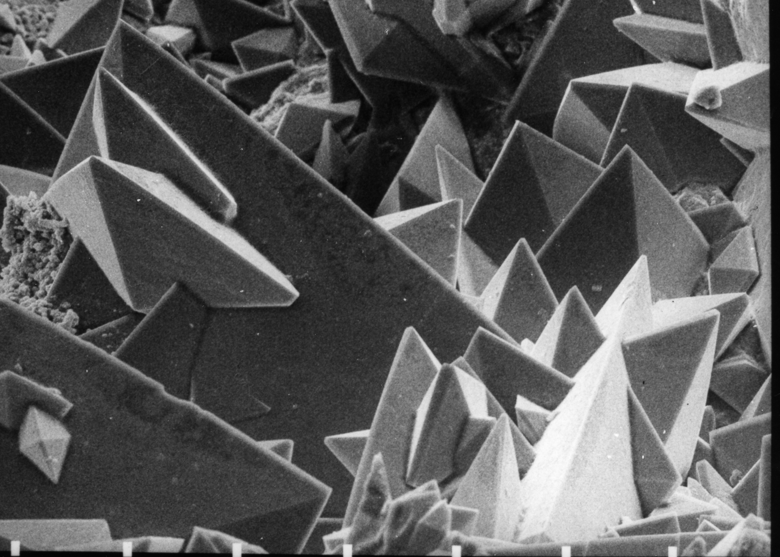 Calcium oxalate dihydrate crystals under Scanning Electron Micrograph (SEM) taken at 30 KV. Source: Wikimedia commons[6]