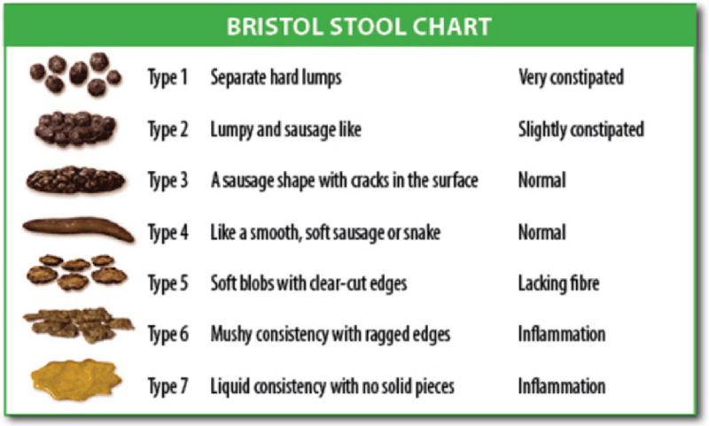 File:Bristol stool chart.svg.png