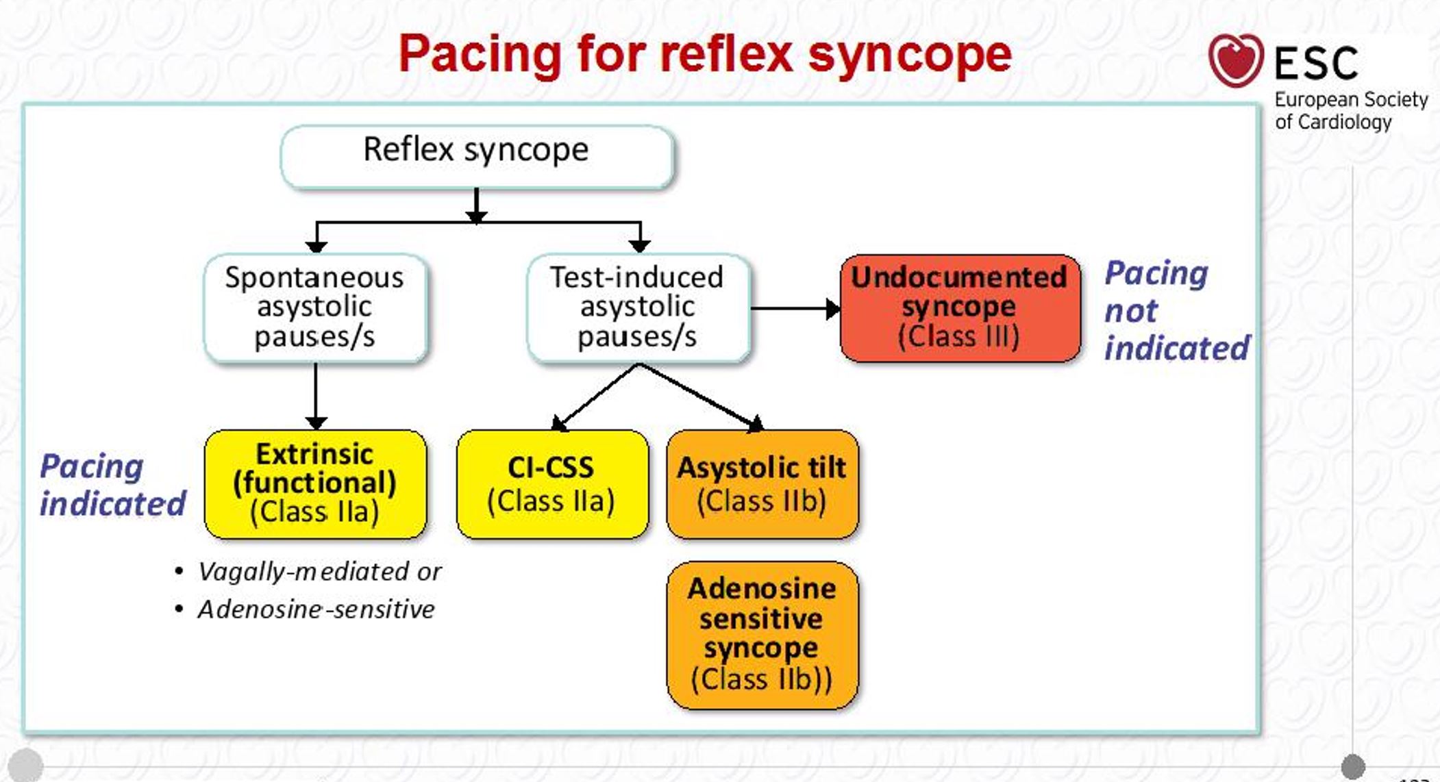 File:Pacing in Reflex Syncope.JPG