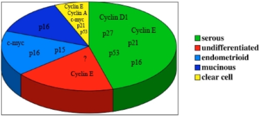 Genetic alterations in cell cycle genes in epithelial ovarian cancer types.
