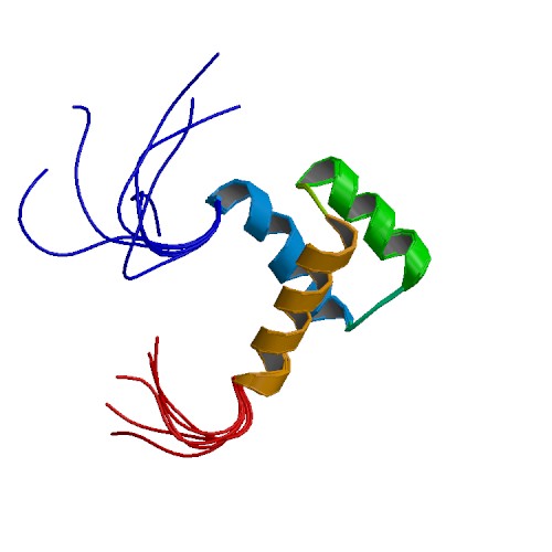 File:PBB Protein HOXB13 image.jpg