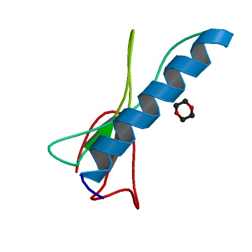 File:PBB Protein IGFBP1 image.jpg