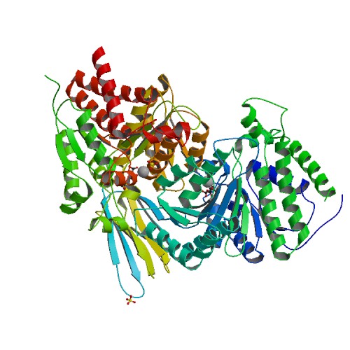 File:PBB Protein IDH2 image.jpg