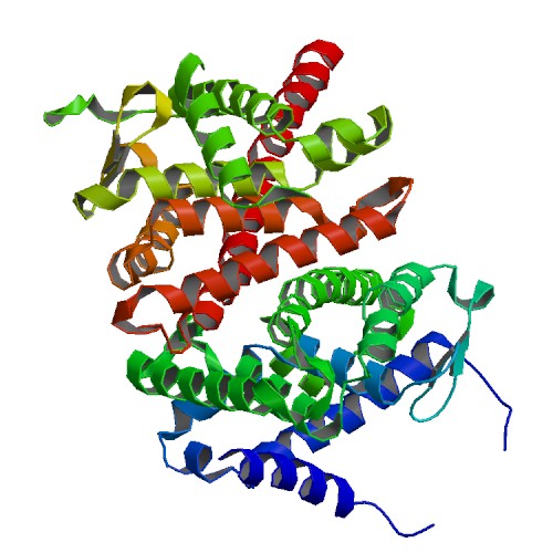 File:PBB Protein HNF4A image.jpg