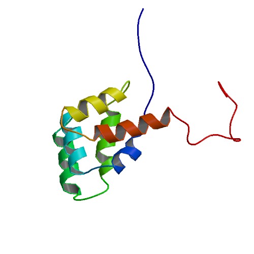 File:PBB Protein FAS image.jpg