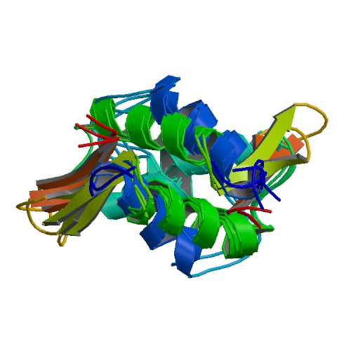 PBB Protein HIST1H1B image.jpg
