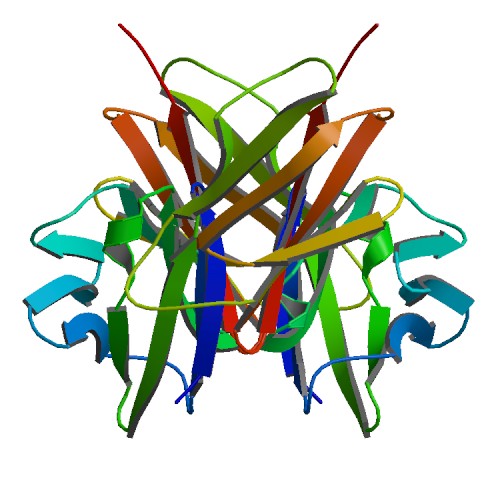 File:PBB Protein CD4 image.jpg