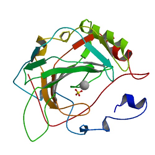 File:PBB Protein CA4 image.jpg
