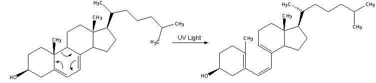 Reaction-Dehydrocholesterol-PrevitaminD3.png