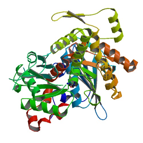 File:PBB Protein GSN image.jpg