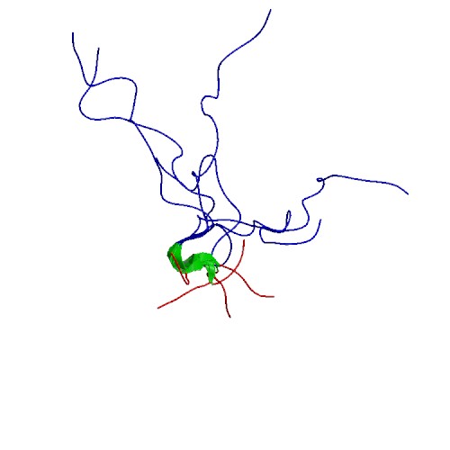 File:PBB Protein IGFBP6 image.jpg