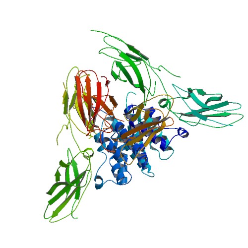 File:PBB Protein IFNGR1 image.jpg
