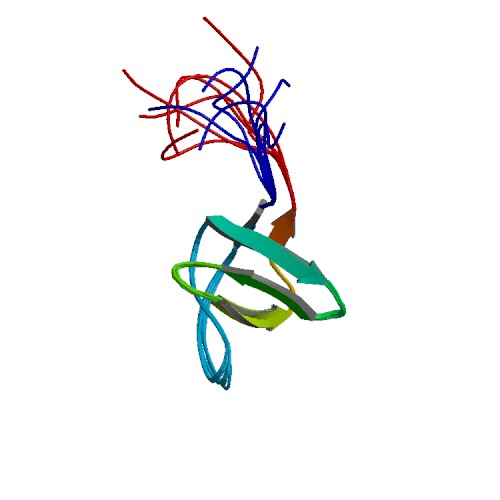 File:PBB Protein ITSN2 image.jpg