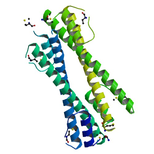 PBB Protein BCR image.jpg