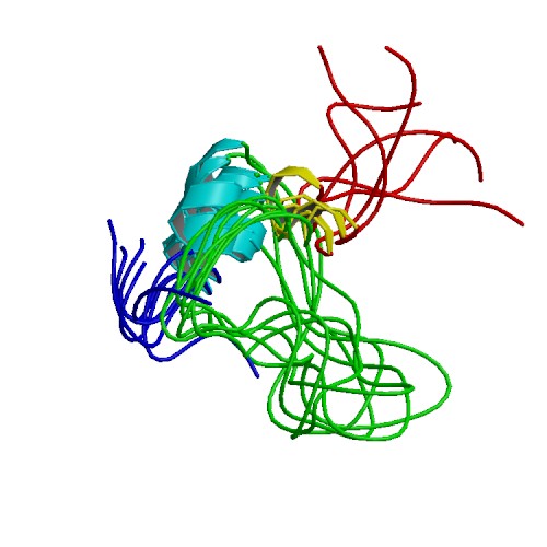 PBB Protein IGF1 image.jpg