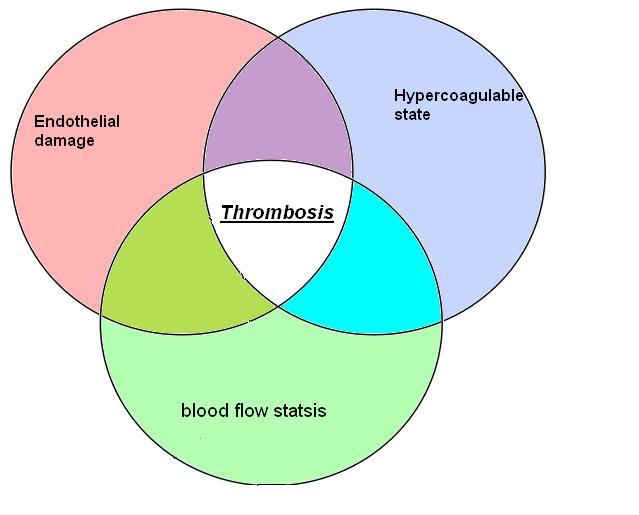 Figure 1. Virchow's triad conceptually encompasses three broad categories of factors that are thought to contribute to venous thrombosis.