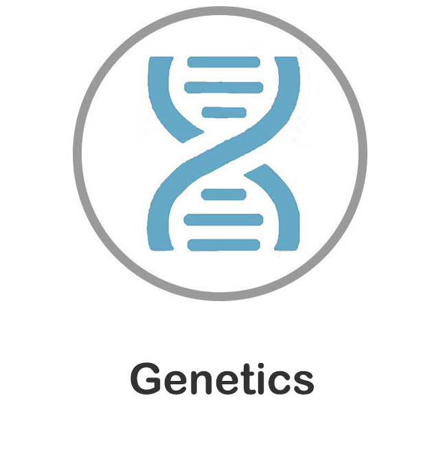 Genetics.jpg