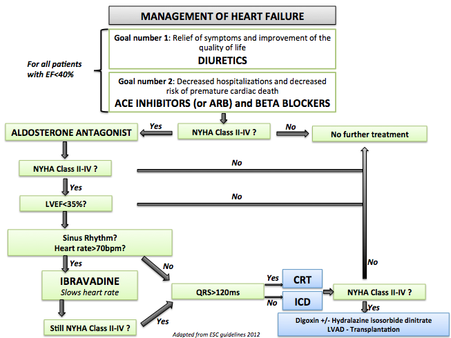 Management of chronic heart failure