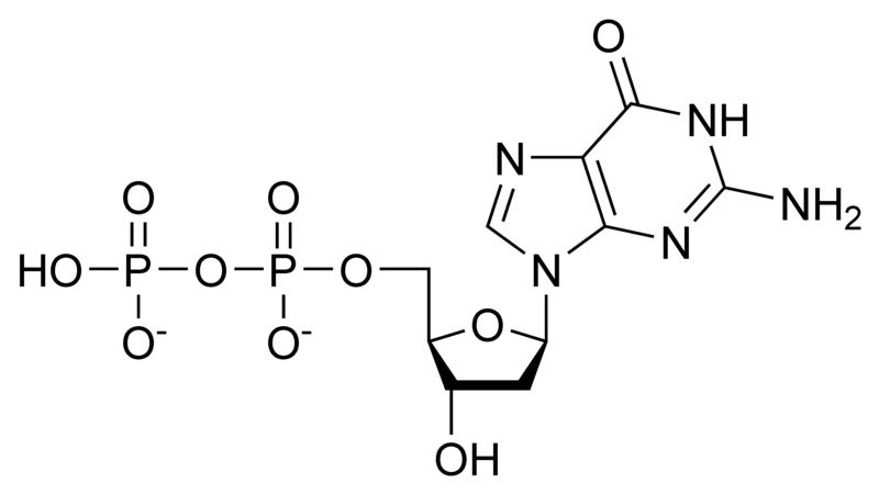 Chemical structure of deoxyguanosine diphosphate