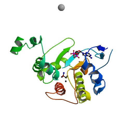 File:PBB Protein ITPKA image.jpg