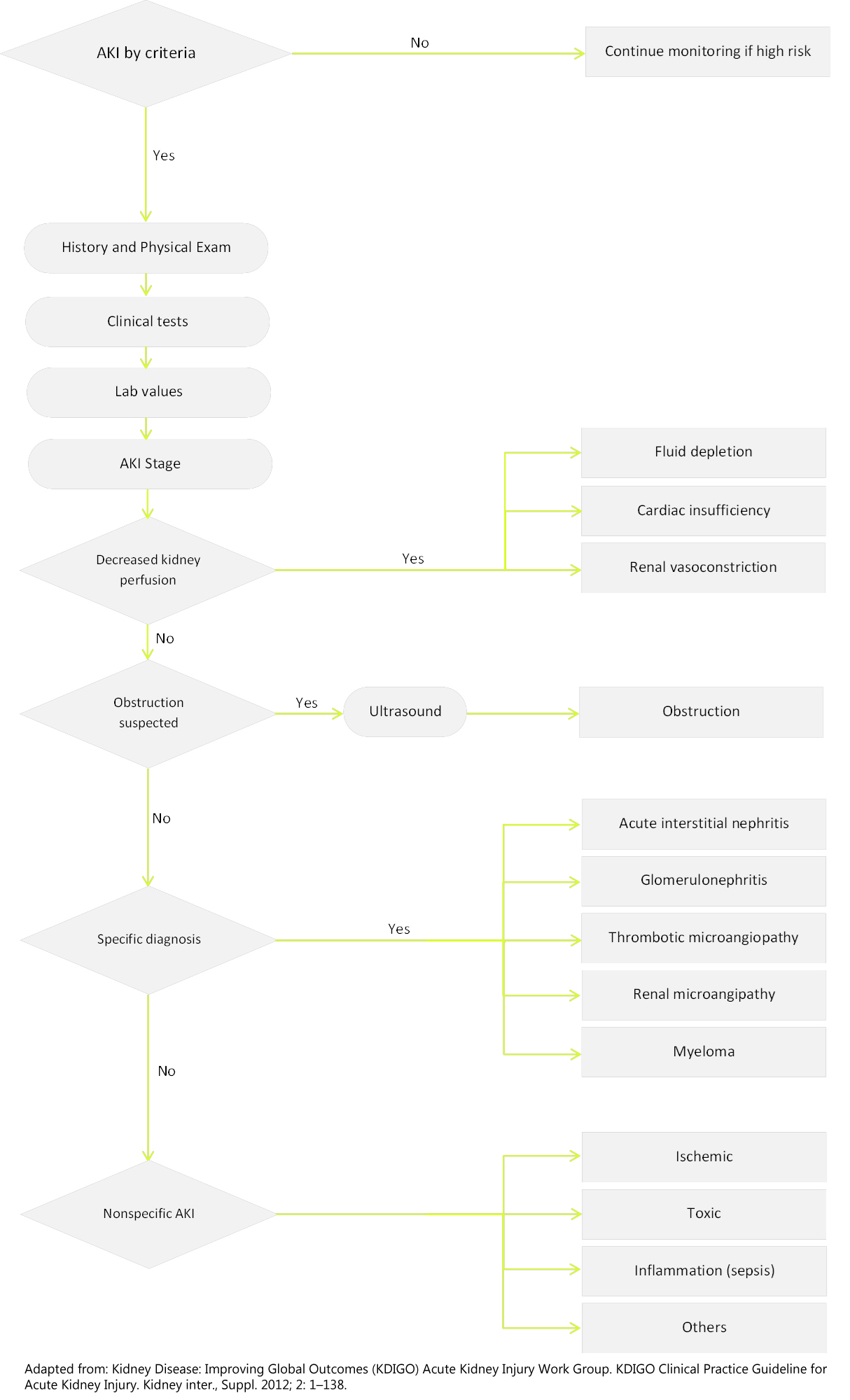 Proposed algorithm for the diagnosis of AKI. 2012 KDIGO AKI Practice Guidelines.