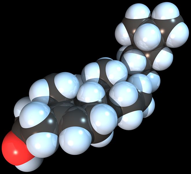 Space-filling model of the Cholesterol molecule